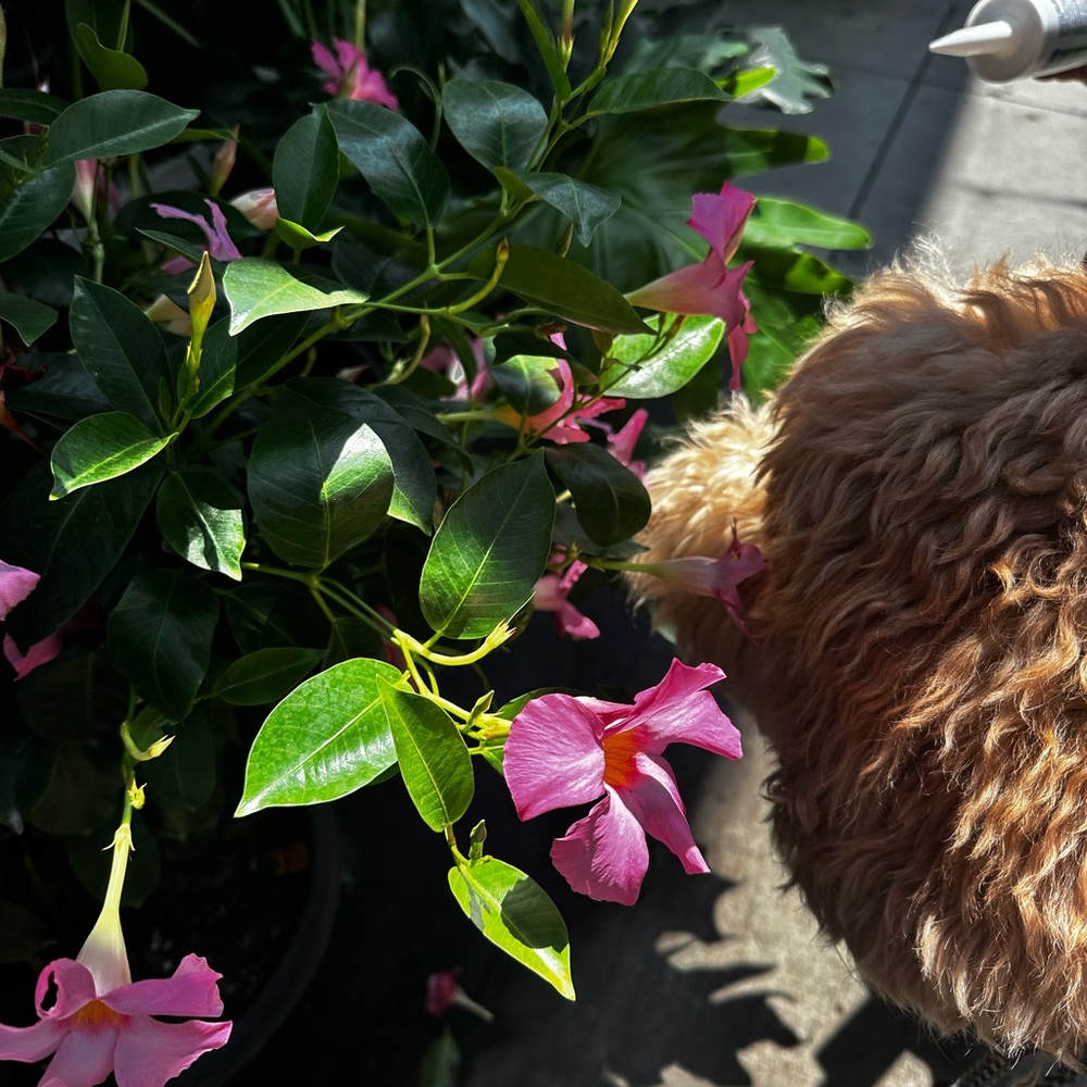 ‼️CLOSET RESET‼️